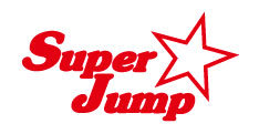 mit 280 cm längenverstellbarem Stahlseil Profispringseil Super Jump 