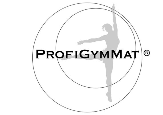 ProfiGymMat Gymnastikmatte Professional 180x60x2cm