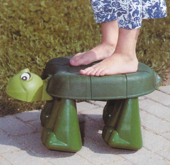 Turnturtle (Laufschildkröte)
