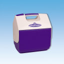 Kühlbox, Isolierte Kunststoffbox, 6 Liter, 20x27x30 cm