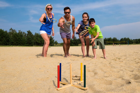 Ringwurfspiel aus Holz + 5 Wurfringe