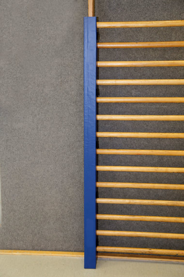 Schutzpolstersatz für Sprossenwand, schwenkbar, 205 cm lang, blau