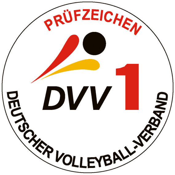 Volleyballpfosten DVV 1 / EN 1271