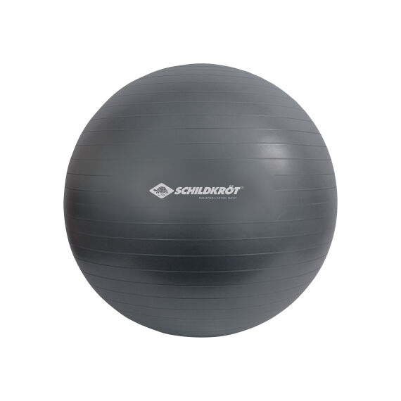 Schildkröt Fitness® Gymnastikball max. 120 kg, inkl. Fußpumpe, Ø 75 cm