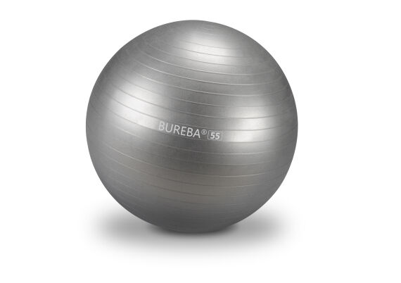 Trendy Bureba® Ball Professional