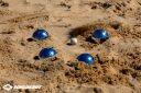 Schildkröt Boule / Boccia / Petanque Set Stahl